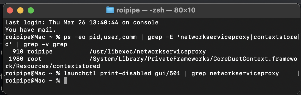 Terminal showing networkserviceproxy and contextstored still running after reboot with disable flags wiped from registry