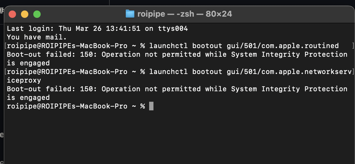 Terminal showing SIP blocking bootout of both routined and networkserviceproxy